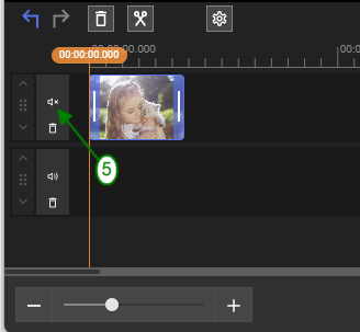 Step 6: Mute Original audio track