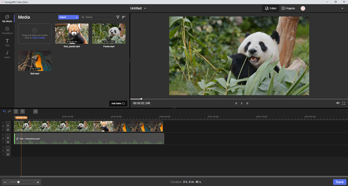 SolveigMM Video Editor