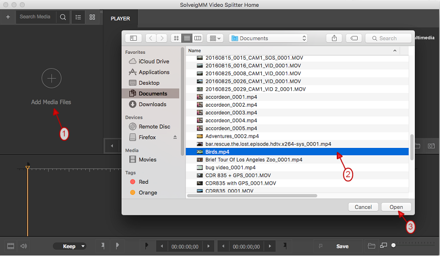how to play an mp4 file on mac